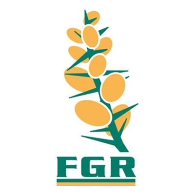 Logo Federación Gallega de Rugby
